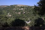 IMG_8590.jpg
