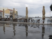 IMG_5574.JPG