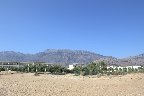 IMG_8491.jpg