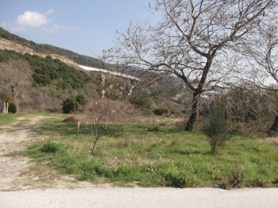 ������� � �������� ������������ � ������: ��������� ������� � ������ � 600 ������ �� ����