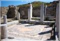 delos_25