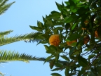 DSCN1200.JPG
