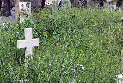 ������ ������� �������� � �����