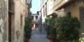 7TAXIDI_FS01_4249