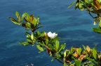 DSC_0041.JPG
