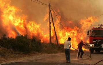 Пожары в четырех районах области Хания были своевременно потушены