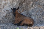 DSC_0165.JPG