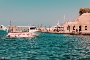 IMG_2996.jpg