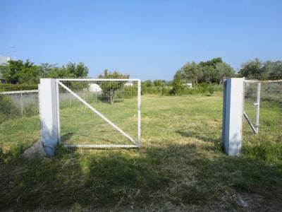 ������� �������� ������������ � ������: ������� �� ������ ����� � ���� � ����������