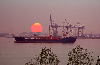 ��������� 2014 ��� ��� ����� �������