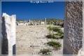 delos_5