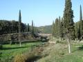 DSC04812.JPG