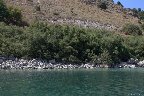 IMG_8570.jpg