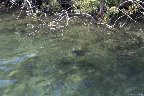 IMG_8559.jpg