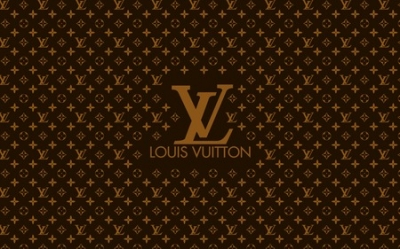  Louis Vuitton  -  :  Naxos Leather  