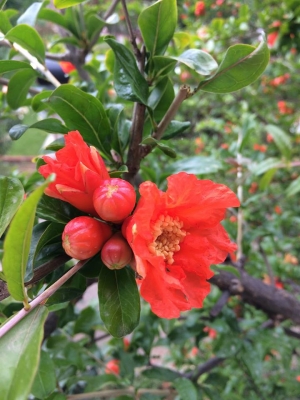 ����������� �����: ������ � ������