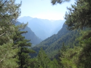 IMG_1129.JPG