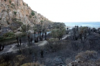 ���������� ��������� ���� ������� �� ����� �������