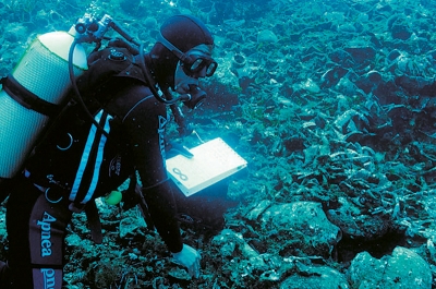 Первый в Греции музей на воде расскажет о подводной археологии