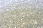 IMG_9541.jpg