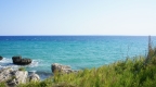 DSC06090.JPG