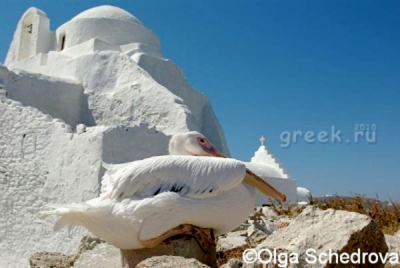 ������������ ������ � �� ������� � ��� ����