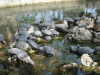 DSC01786.JPG