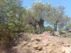 S6303240.JPG