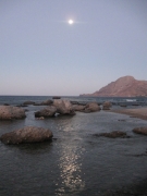 IMG_8203.jpg
