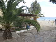 IMG_5491.JPG
