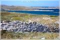 delos_22