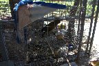 IMG_8512.jpg