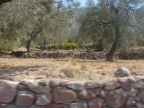 S6303236.JPG