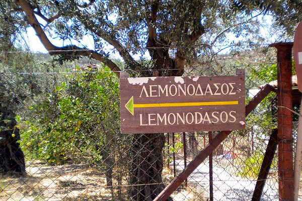 lemonodasos.jpg