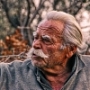  2050      2,5   