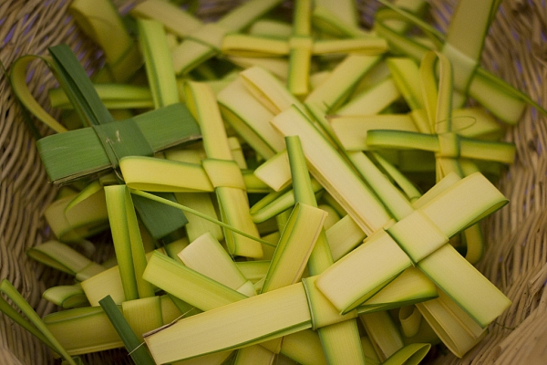 palmsunday1.JPG